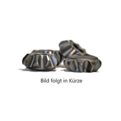 /assets/images/6/Bild_folgt-qrrps9bc5k8e4wq.jpg
